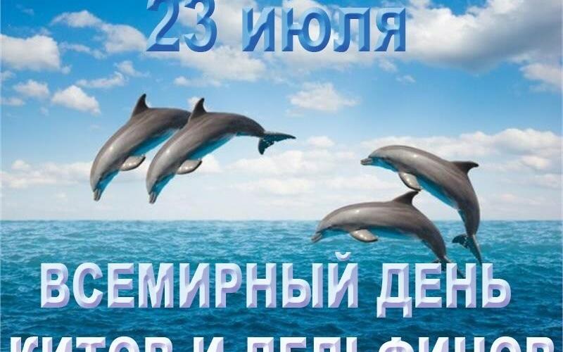 «Всемирный день китов и дельфинов» 23.07.2020